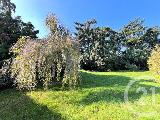 terrain - ANGERVILLE - 91
