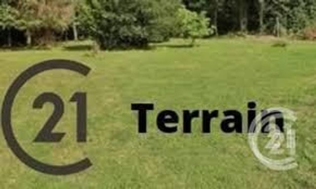 terrain - ANGERVILLE - 91
