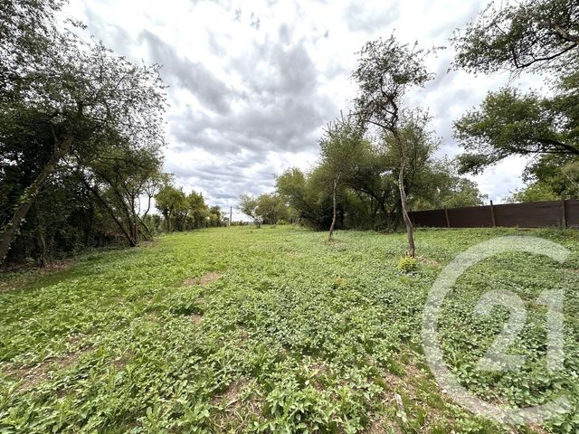 terrain à vendre - 2715.0 m2 - ANGERVILLE - 91 - ILE-DE-FRANCE - Century 21 Dao Conseils