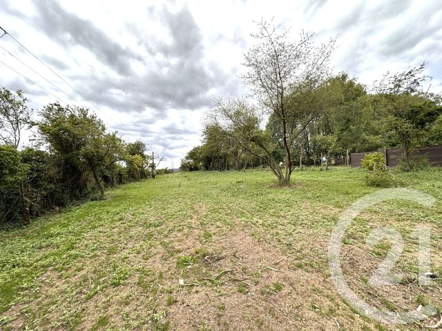 terrain à vendre - 2715.0 m2 - ANGERVILLE - 91 - ILE-DE-FRANCE - Century 21 Dao Conseils