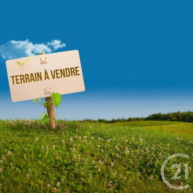 terrain - ANGERVILLE - 91